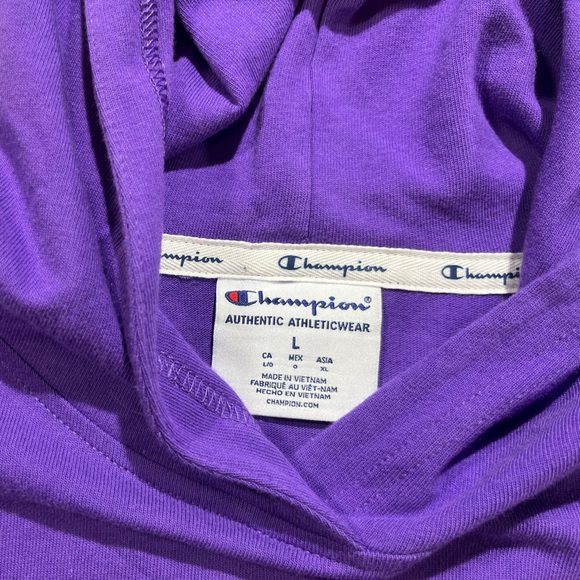 Men’s Retro Y2K Purple Champion Multicolored Logo Hoodie Size L - Picture 4 of 6